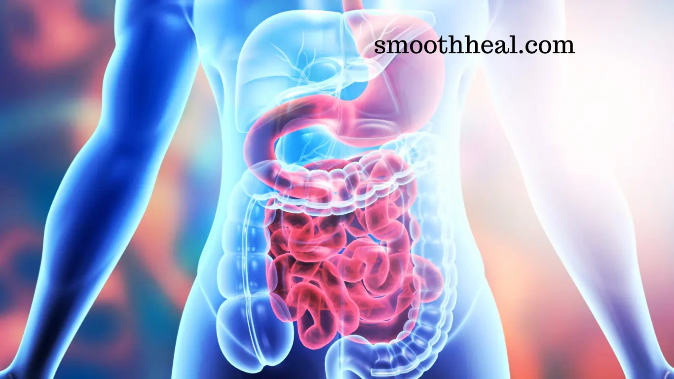 Gut Health How to Ameliorate Your Digestive System
