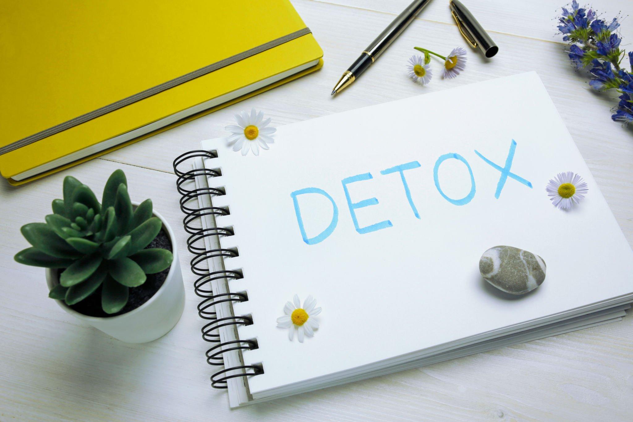 Cleanse & Renew 10-Day Detox Diet Program 