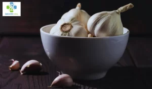 Benefits Of Garlic